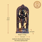 Ayodhya Ram Lalla Murti