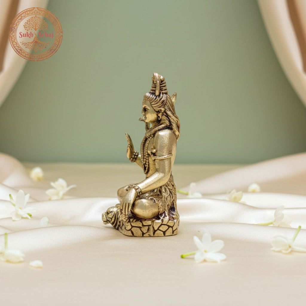Lord Shiva Murti