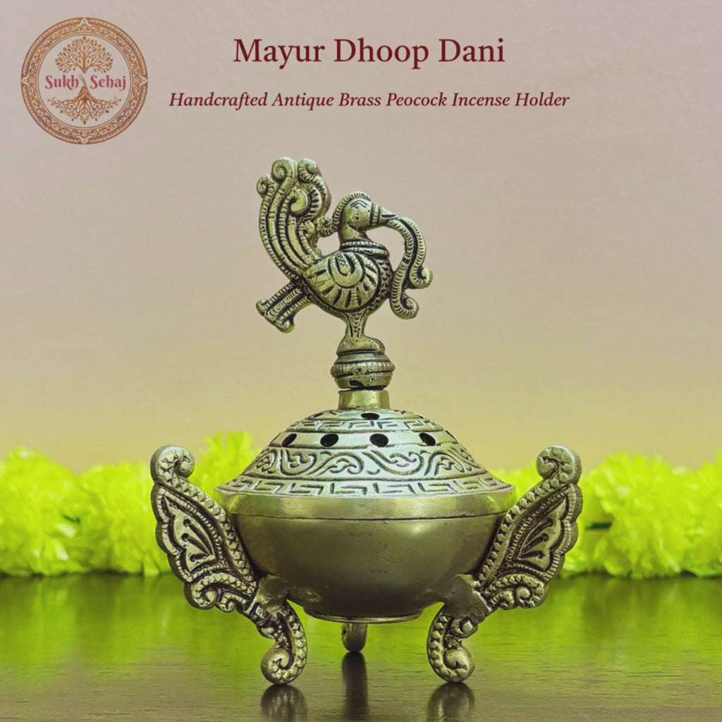 Mayur Dhoop Dani