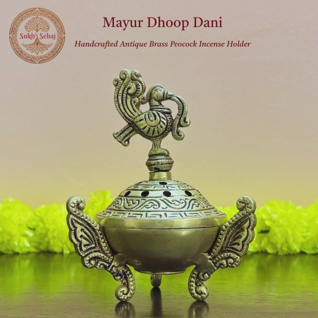 Mayur Dhoop Dani